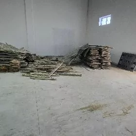 agach 10 10 5 10 pleymut