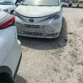 Toyota Sienna 2021