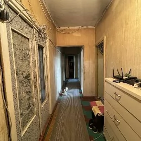 Гаудан В 4/3эт 5ком раздельные