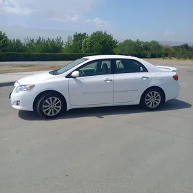 Toyota Corolla 2010