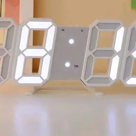 электронный сагат