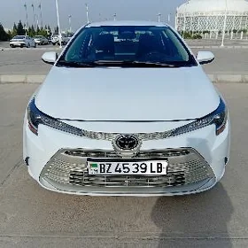 Toyota Corolla 2023