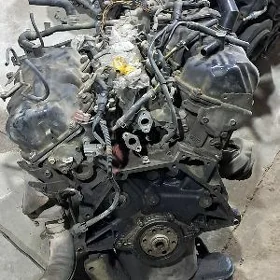 patfinder 3.3 mator goli