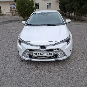 Toyota Corolla 2024