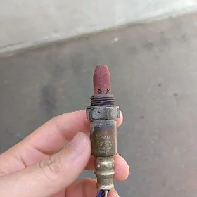 katalizator datcik 3.5