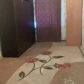 ARENDA TALYPLARA 2KOM