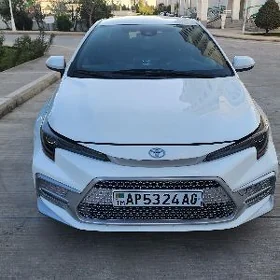 Toyota Corolla 2019