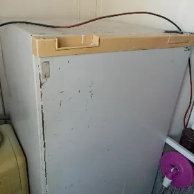 Holodilnik Rostow kese motorly