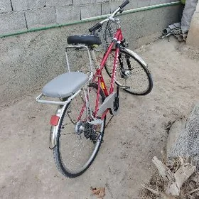 Tigir ýapsgaka welik