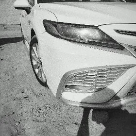 Toyota Camry 2019