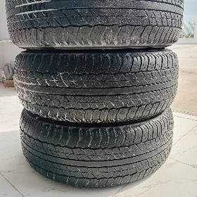 265.65.17 3ștuk DUNLOP