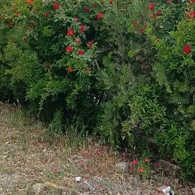 90 разъезд дюплекс