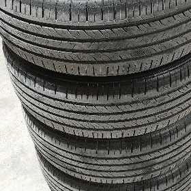 215/55/17/ Westlake ýyly24