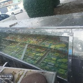 witirina haladilnik gaz plita