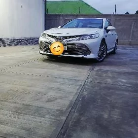 Toyota Camry 2019