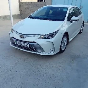 Toyota Corolla 2019