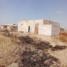 boldumsaz