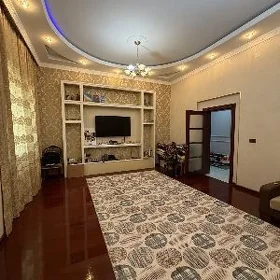 Elitka swoboda koçe