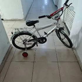 tigir wwelosiped 20lik