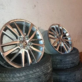 arginal kemry disga XSE