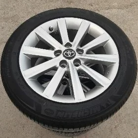 Palta kemry 17 lk XLE  Radnoý