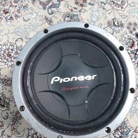 Pioneer cerepaha bocka