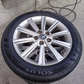 palta xle disga pakrysga