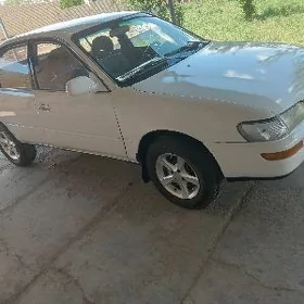 Toyota Corolla 1993