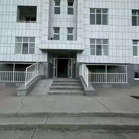 SATLYK PODWAL Gurtly 2017Ý