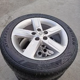 17 palta disga pakrysga