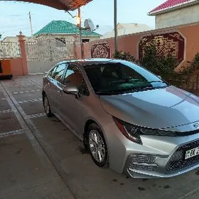 Toyota Corolla 2020