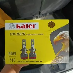 Led Kaier