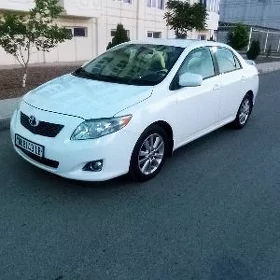 Toyota Corolla 2010