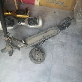 Skuter zapcast gowy yagday