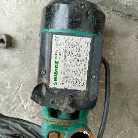 носос шимге