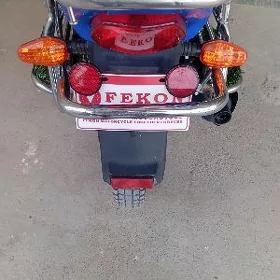 Fekon FK150-8G 2014