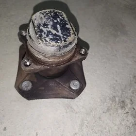 stupitsa pashipnik yzy tida