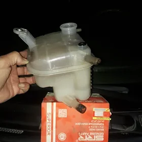 raseritel baçok bacok