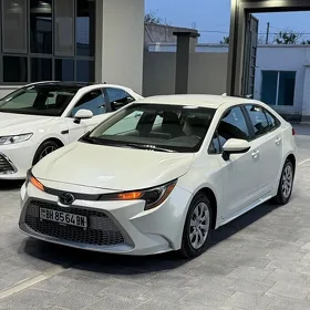 Toyota Corolla 2020