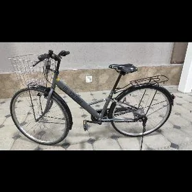 tigir Ýapoşga welik