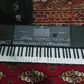 Korg pa 600