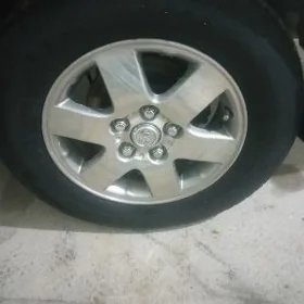 Dyska pakyryşga bile