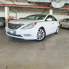 Hyundai Sonata 2010