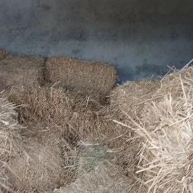 МАЛ. ИМИ. БЕДЕ