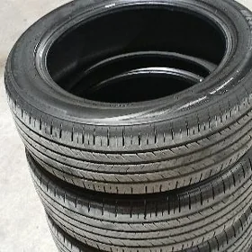 215/55/17/ Westlake ýyly24