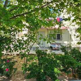 1-mkr Ṣ̌ewçenko 1-et 2-komnat