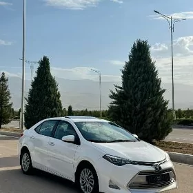 Toyota Corolla 2017