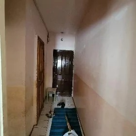 satlyk eyesinden jay