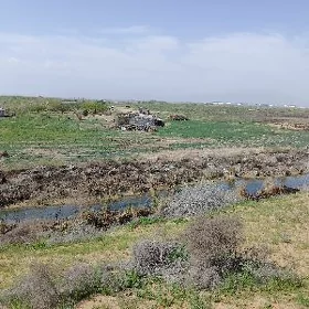 участок 4 га