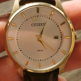 Sagat Часы Citizen.